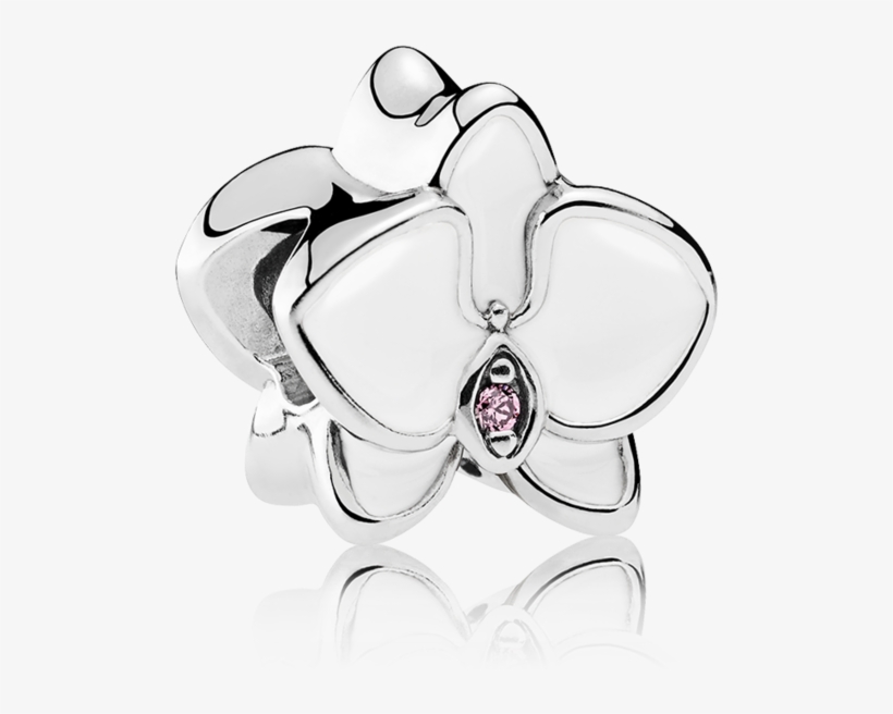 White Orchid - Charm Pandora Orchidea Bianca, transparent png #5003323
