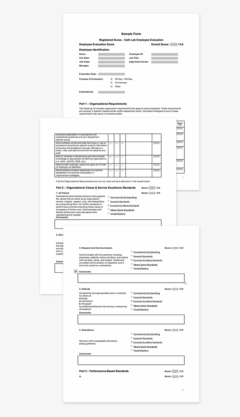 Showing The Variety Of Layouts And Details That Are, transparent png #5006393
