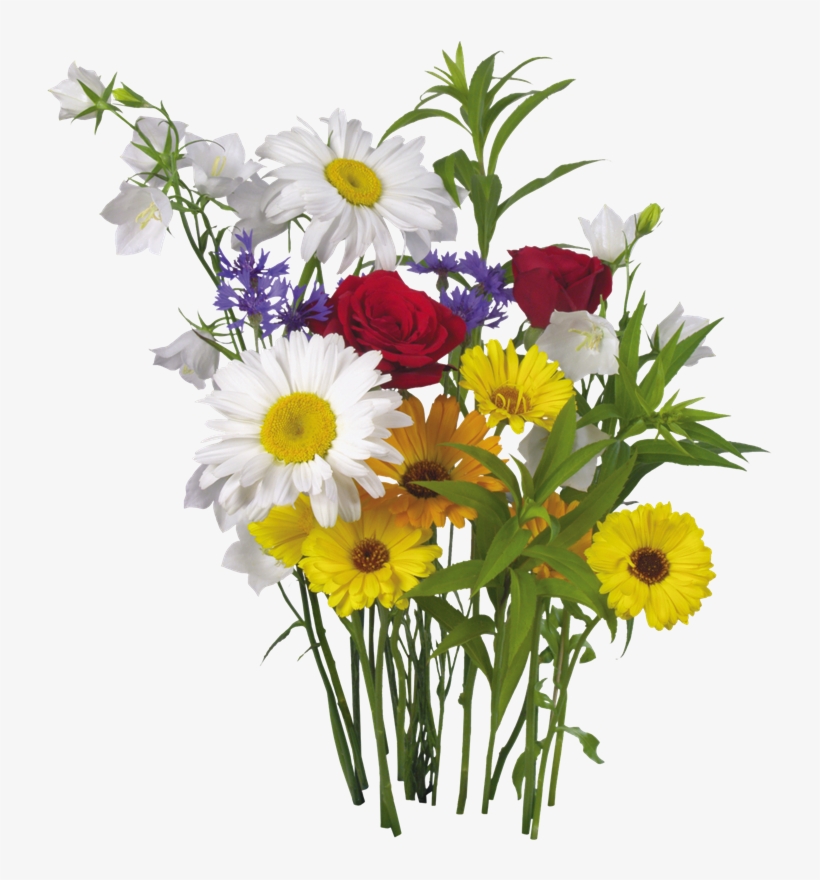 Mi Artista Favorito Es - Flores Png Para Photoscape, transparent png #5009962