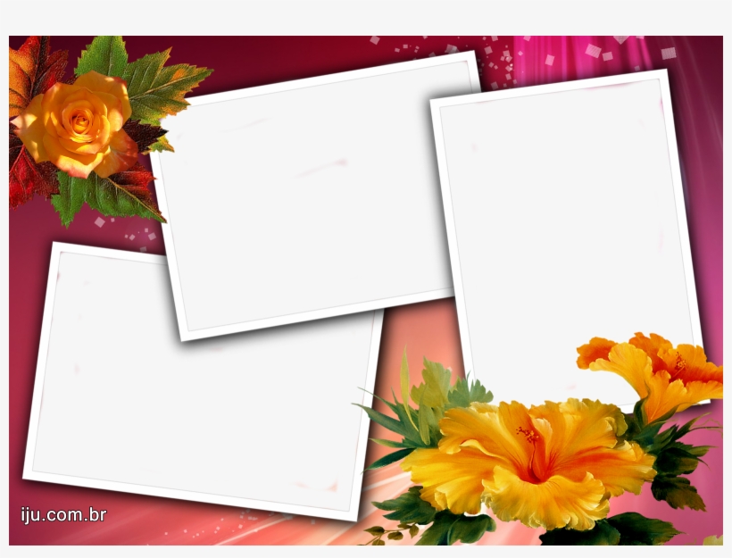 Flowers, transparent png #5010056