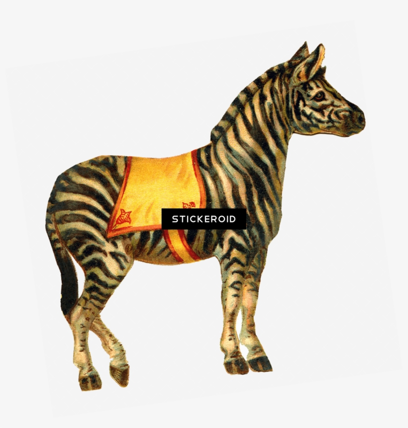 Dita Von Teese Zebra Dress - Natasha Westcoat Canvas Wall Art - Circ Iv, transparent png #5012369