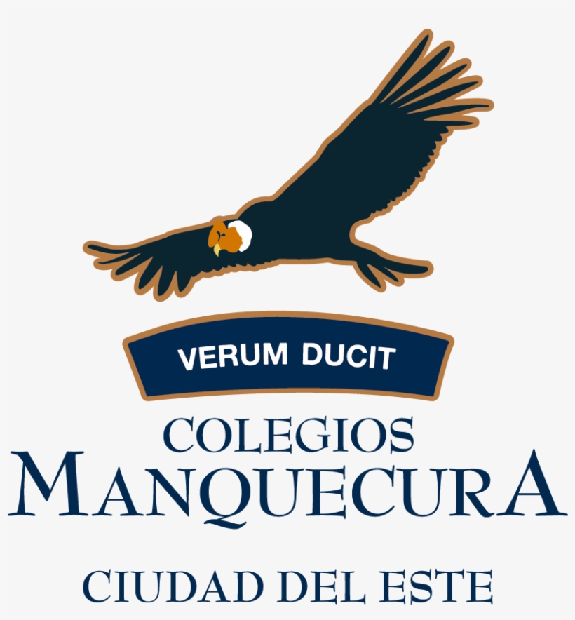 Comunicado Normativa Uso De Redes Sociales Para Apoderados - British Camp, transparent png #5013876