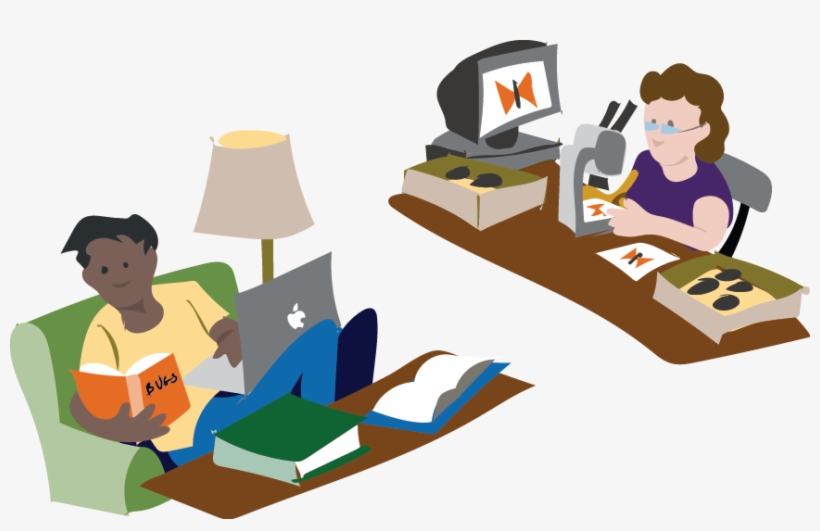 But Recruiting Skilled Identifiers To Review Observations, transparent png #5014208