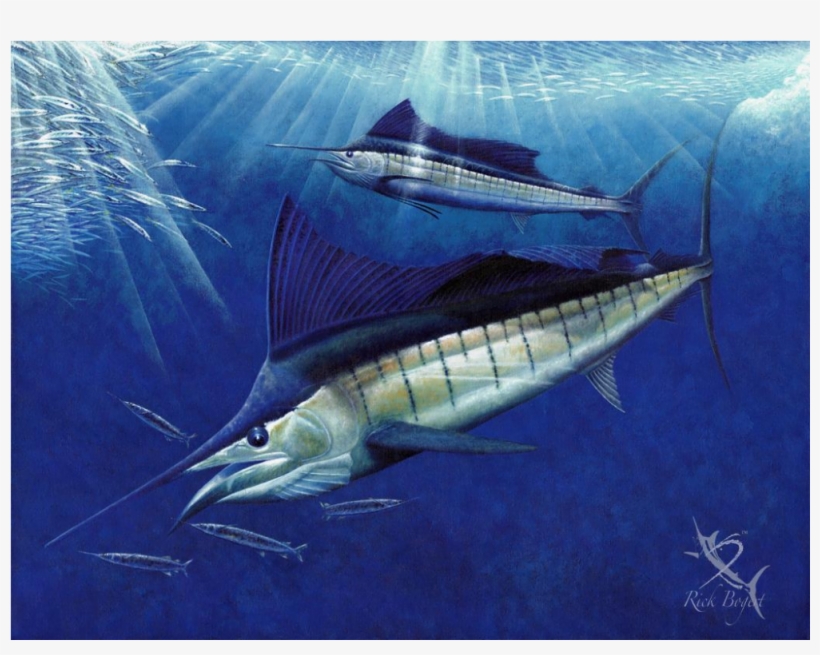 Sailfish Ball - Sailfish Ball Throw Blanket, transparent png #5014984