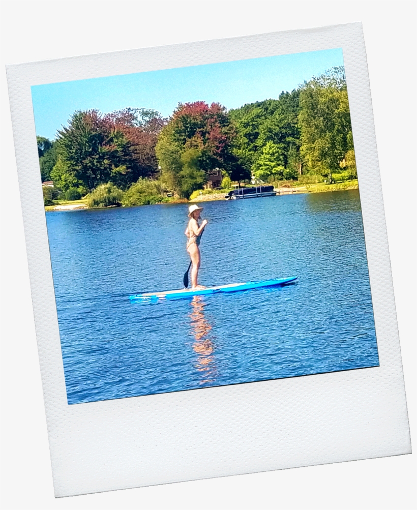 What We Did - News, transparent png #5016035