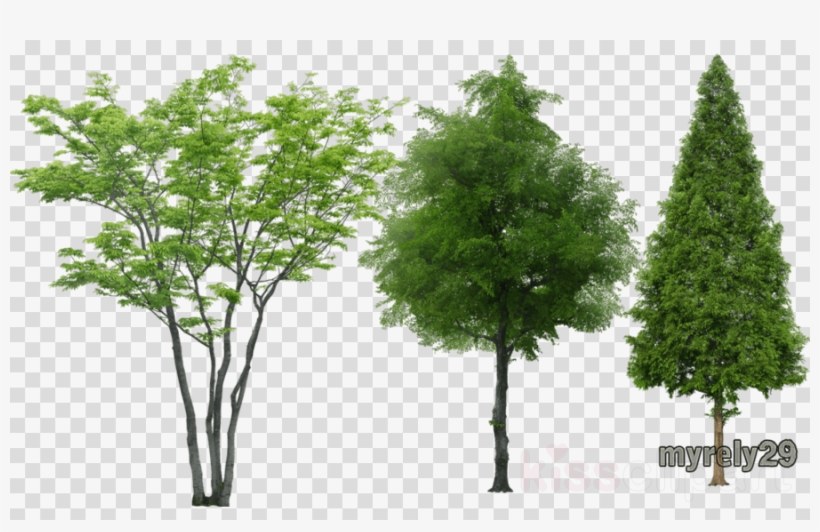 Arboles Photoshop Sin Fondo Clipart Tree - Low Poly Tree Vray, transparent png #5021176