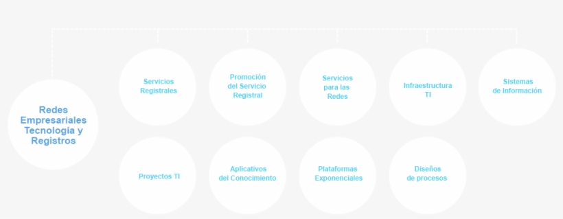 Estructura Organizacional - Circle, transparent png #5022049