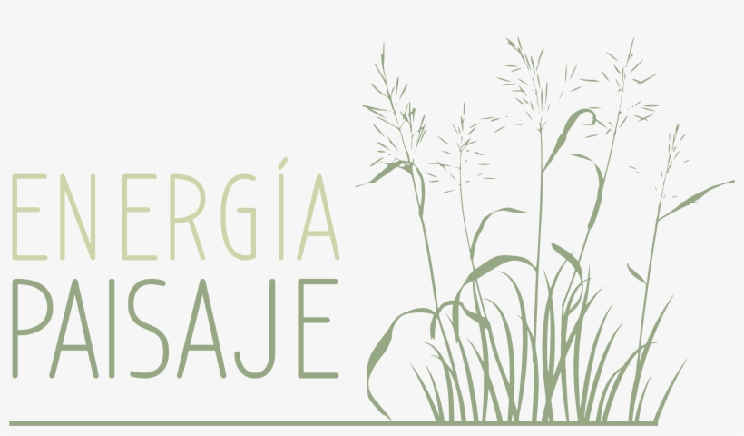 Logo - Illustration, transparent png #5022398