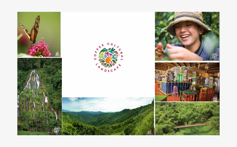 Paisaje Cultural Cafetero, Un Café Excepcional En El - Collage, transparent png #5022601