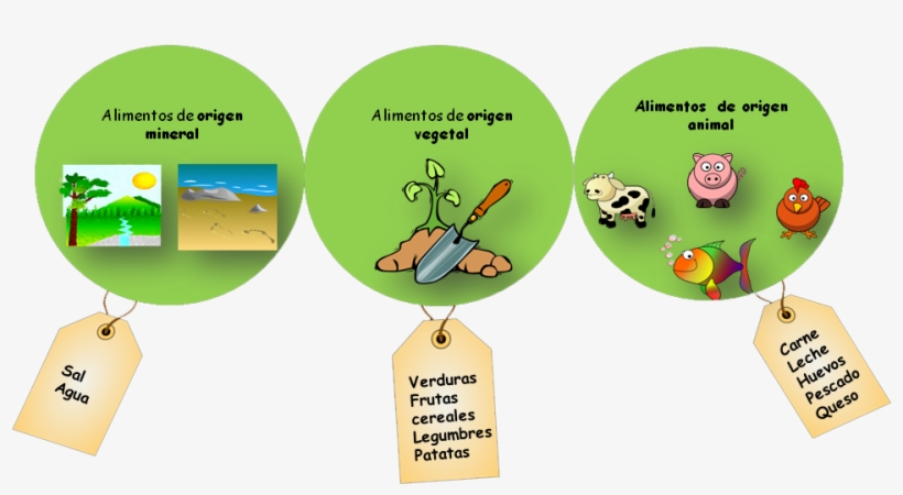 Alimentos Vegetal Animal Mineral, transparent png #5023473