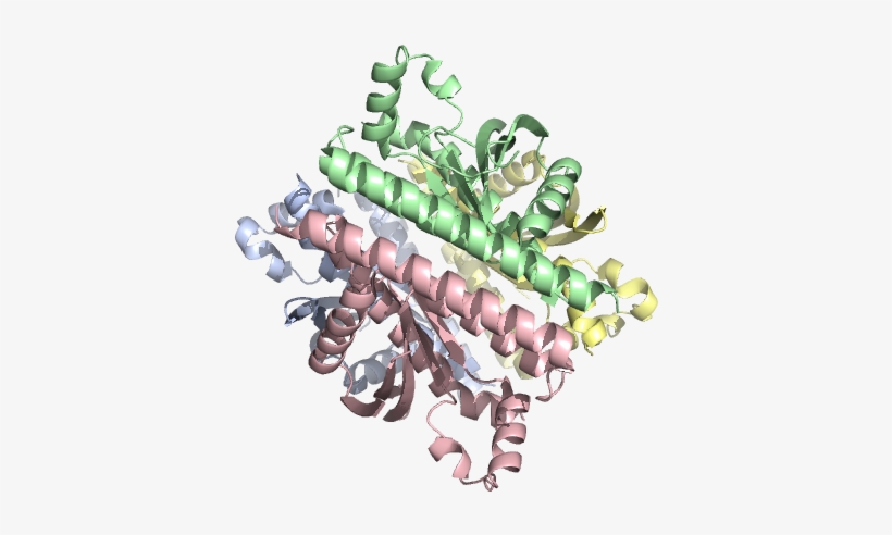5dec 5f2v 5ded - Illustration, transparent png #5023652