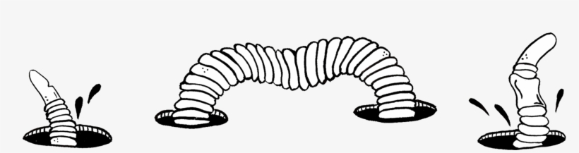 1 - Alsophila Pometaria, transparent png #5023925