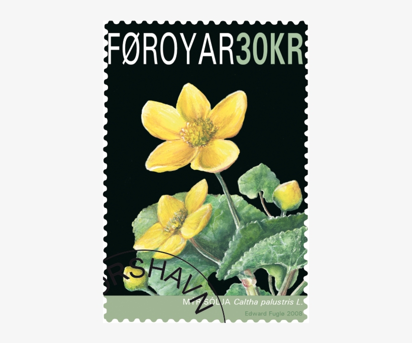 Flor Nacional De Las Islas Feroe - Old Hanse-harbour, transparent png #5026588