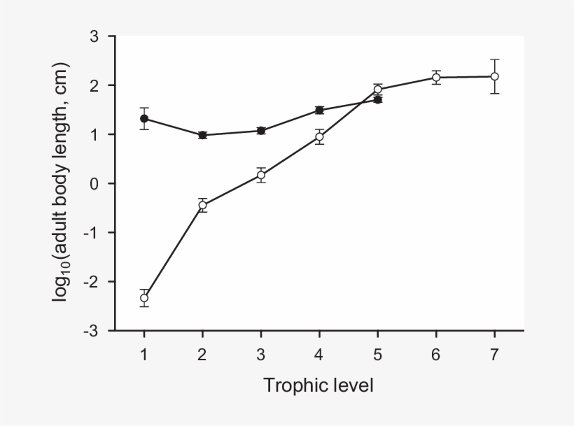 Mean Log 10 Body Length Versus Trophic Level In Pelagic - Plot, transparent png #5027579