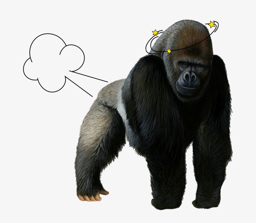 Gorilla - Gorilla Png, transparent png #5028621