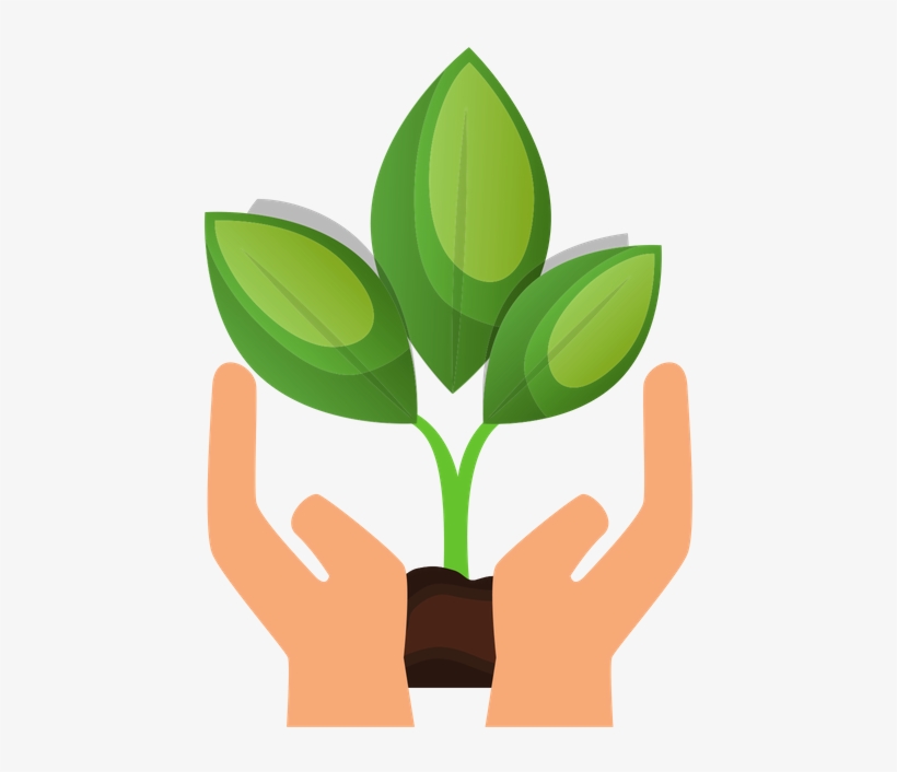 Donate To The Wayne Township Adult Education Legacy - Hands Holding Plant, transparent png #5028884