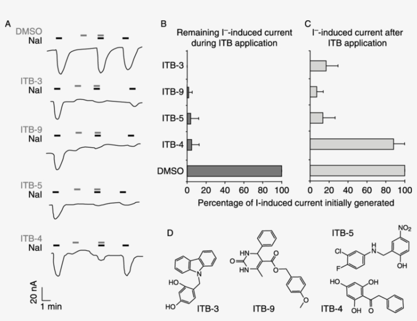 Effects Of Itb 3, Itb 9, Itb 5 And Itb 4 On Iodide - African Clawed Frog, transparent png #5028950