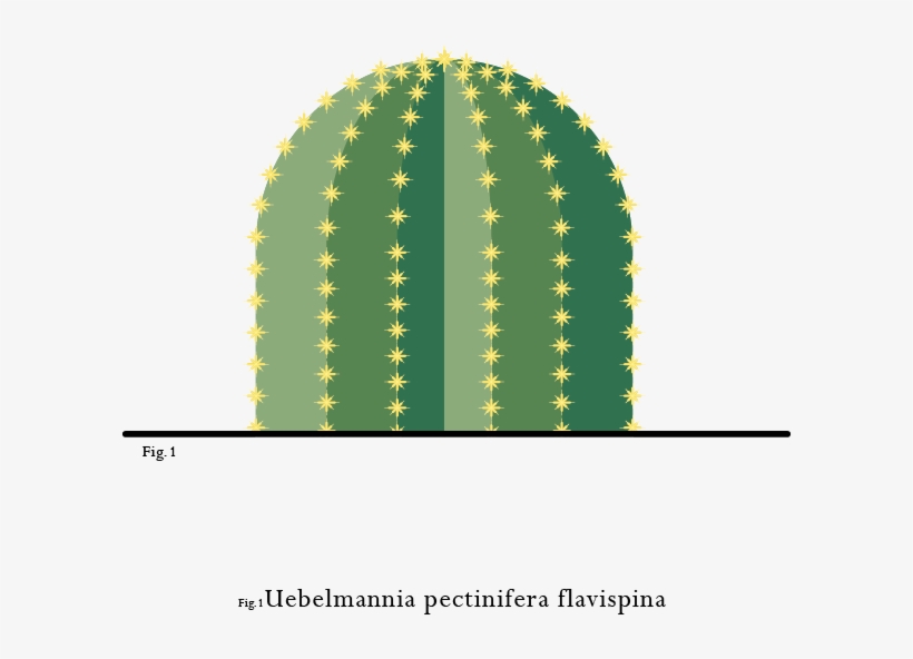 Spiky Companions - Circle, transparent png #5029799