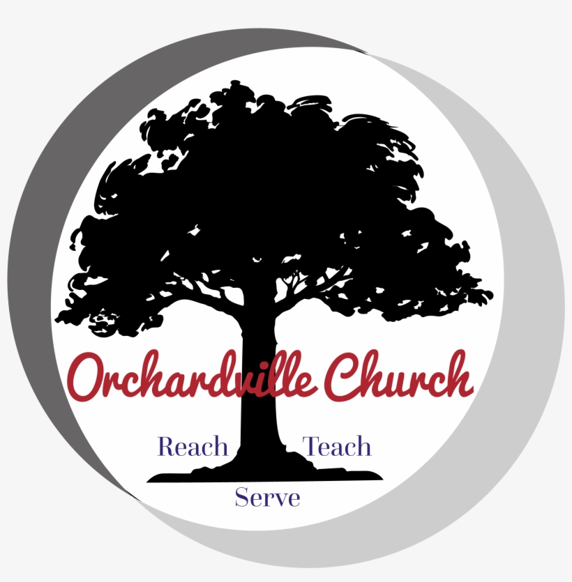 Elm Tree Black And White, transparent png #5031553