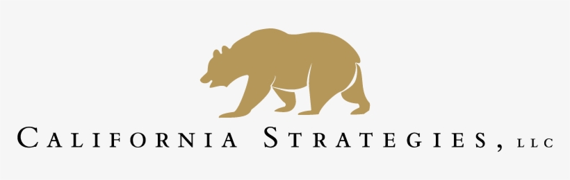 Advocate Member - Grizzly Bear, transparent png #5034172