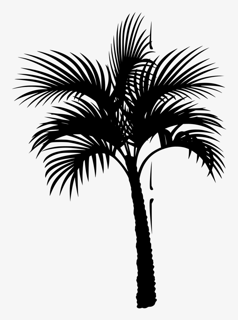 Download Png - Coconut Tree Vector, transparent png #5034270