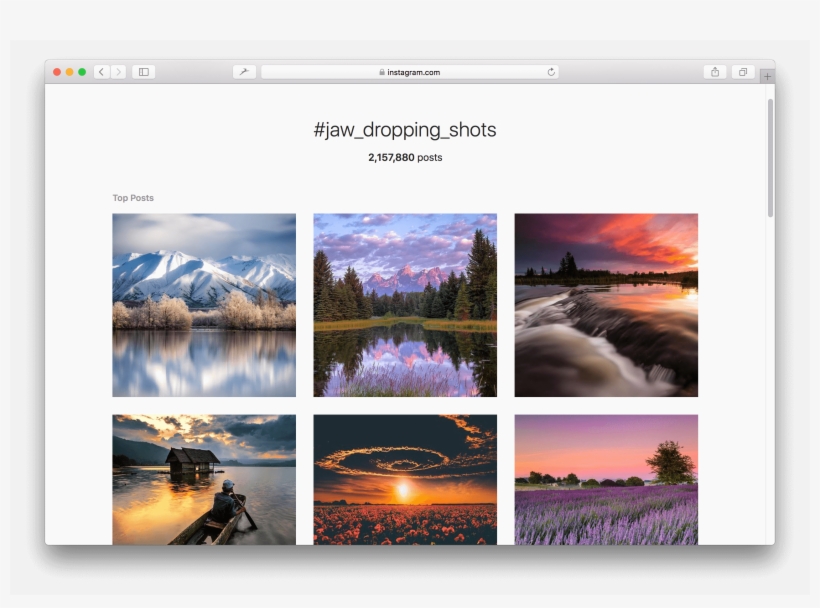 Grab The Tool - Reflection, transparent png #5037365