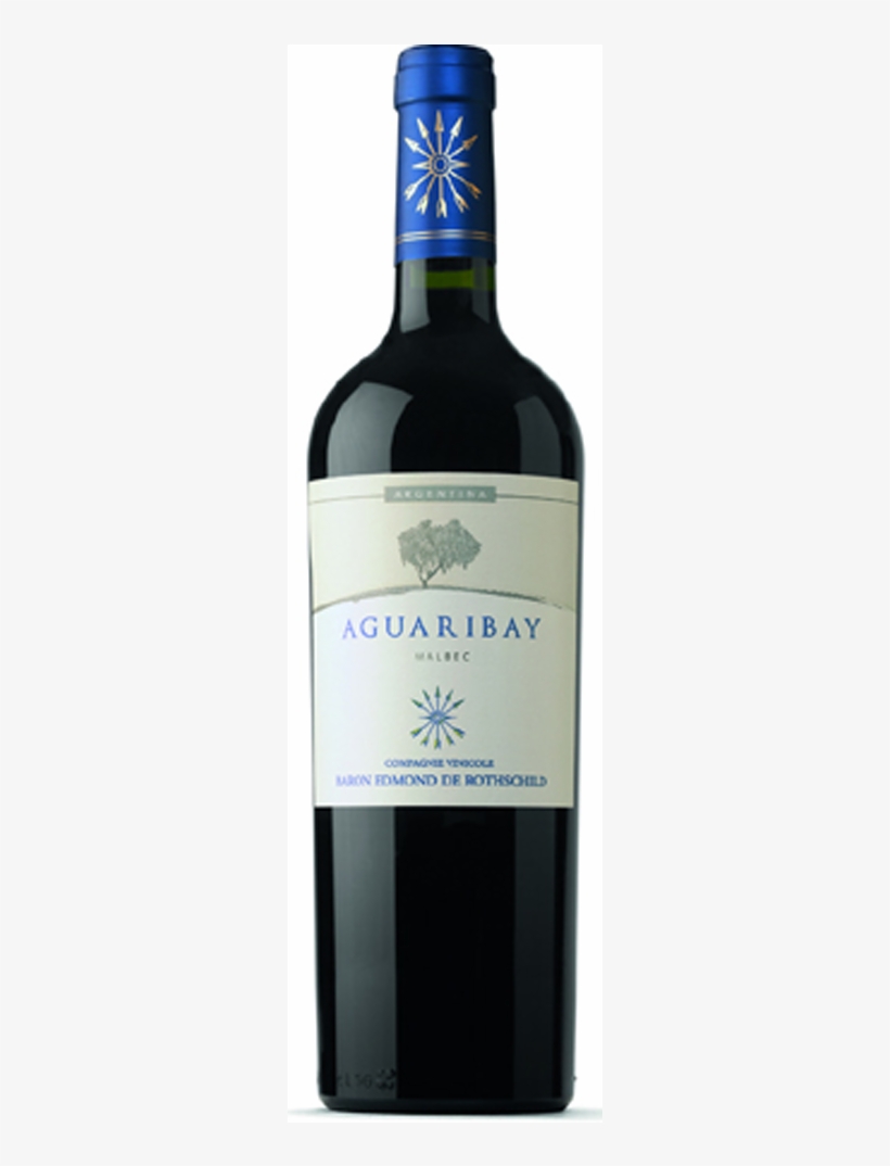 Flechas De Los Andes Aguaribay Malbec - Ch Cap De Faugeres 2010, transparent png #5039764