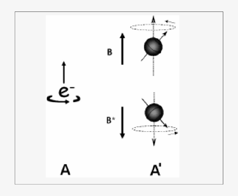 A - A - A - A - A - El Espín Del Electrón Obedece La - Se Representa Un Espin, transparent png #5039884