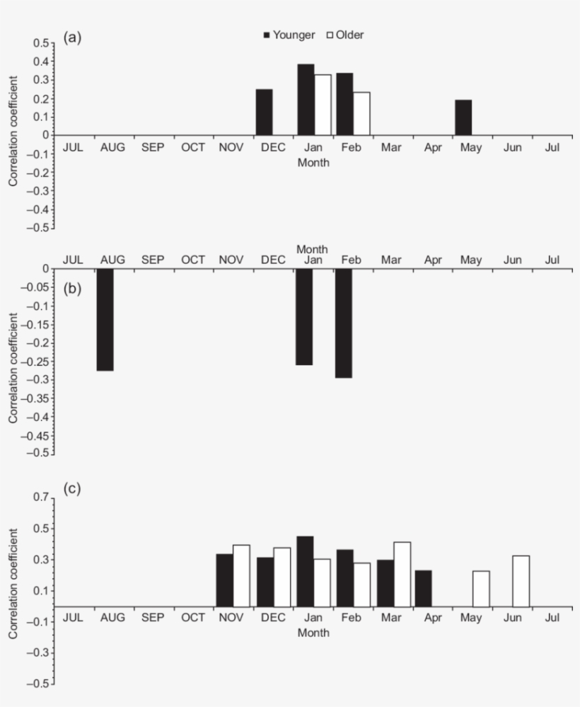 Correlation Coefficients Between Younger And Older - Correlation Coefficient, transparent png #5041906