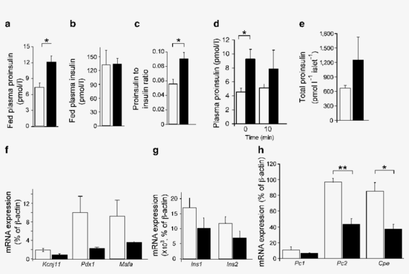 Analysis Of Insulin Processing In Znt8bko And Control - Proinsulin, transparent png #5042160