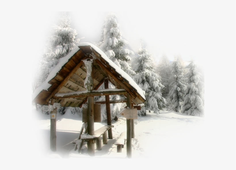 One And Only One Gif Photo, One And Only, Winter Wallpapers - Snow, transparent png #5042736