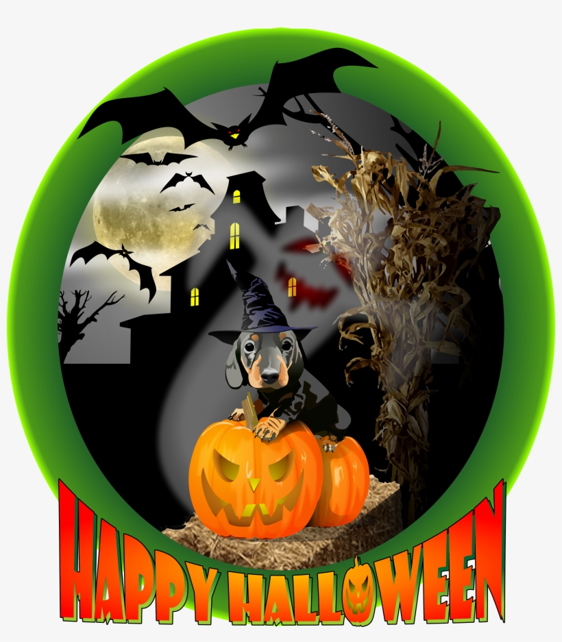 20 Sep - Dachshund, transparent png #5043716