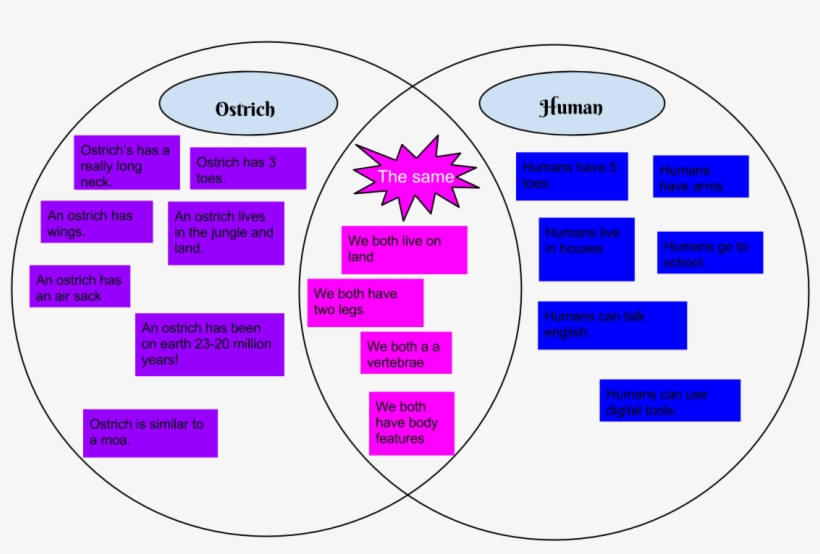 In This Venn Diagram, I Had To Compare A Ostrich To - Circle, transparent png #5043782