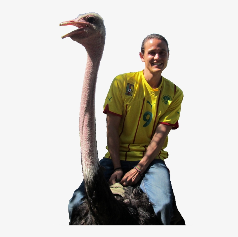 Mark Wiens Wife Job, transparent png #5043915