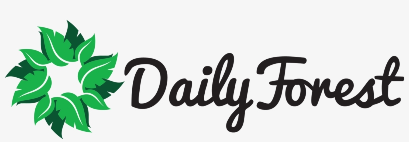 Dailyforest - Journal Daily: Personalized Lined Blank Journal Book,, transparent png #5044955