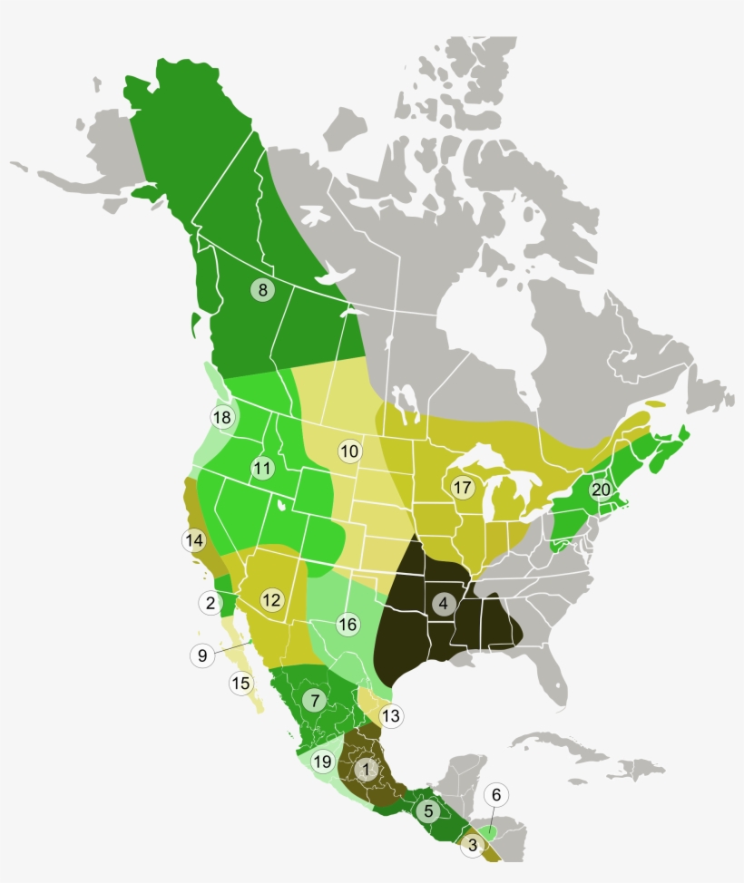 Open - Us States Joining Canada, transparent png #5050041