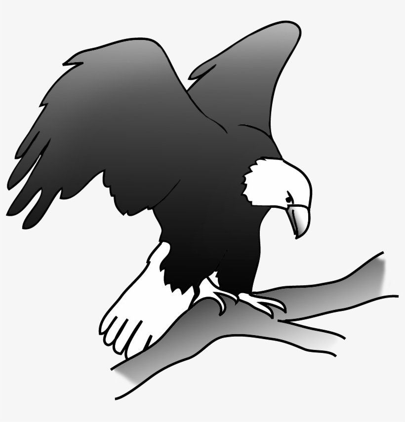 Eagle On A Branch In A Tree - Drawing, transparent png #5050424
