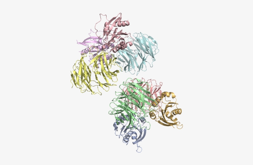 4v0n 4v0o 4v0m - Illustration, transparent png #5050481