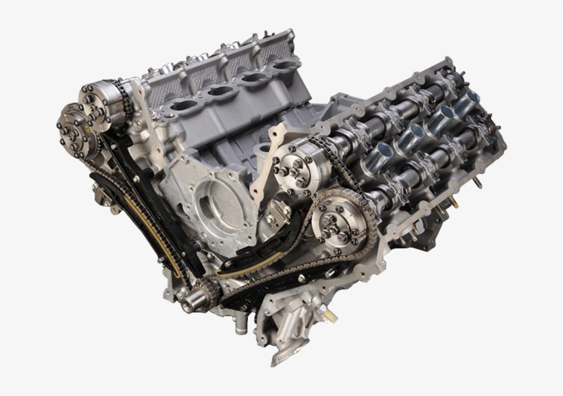 5.0 Coyote, transparent png #5050539