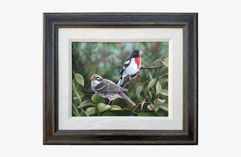 Rose Breasted Grosbeaks - Painting, transparent png #5051932