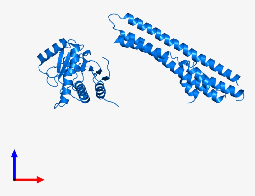 <div Class='caption-body'>pdb Entry 5lnc Contains 1, transparent png #5056463