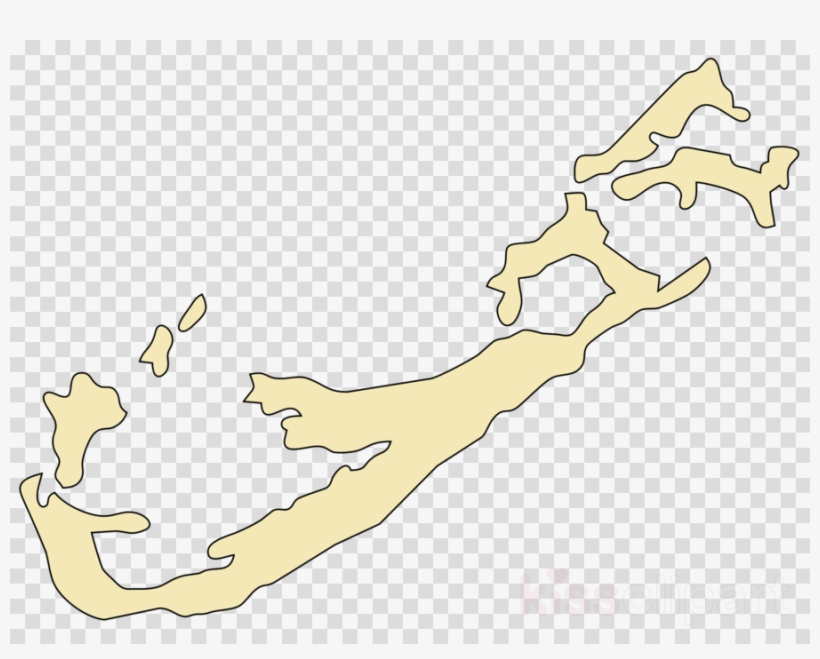 Cartoon Water No Background, transparent png #5056531