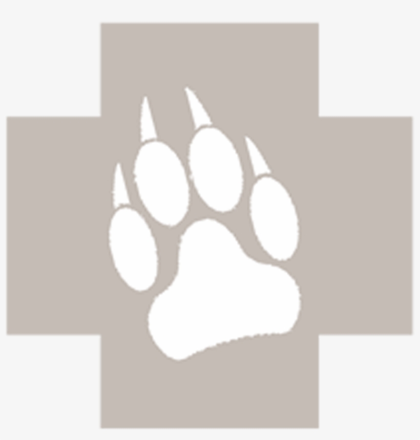 Https - //www - K9medic - Com/wp Pawcross - Circle, transparent png #5056672