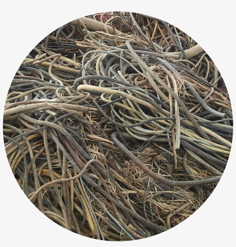 Shredder Wire - Wood, transparent png #5056904