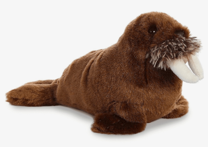 Walrus Png Free Download - Stuffed Toy, transparent png #5056970
