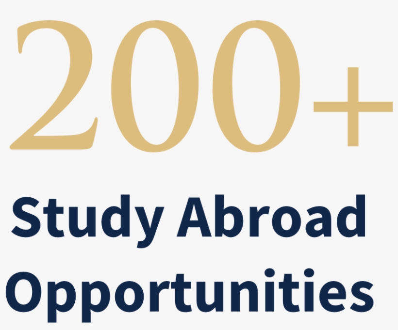 Study Abroad In One Of Many Available International - Study Abroad Promotion, transparent png #5058287