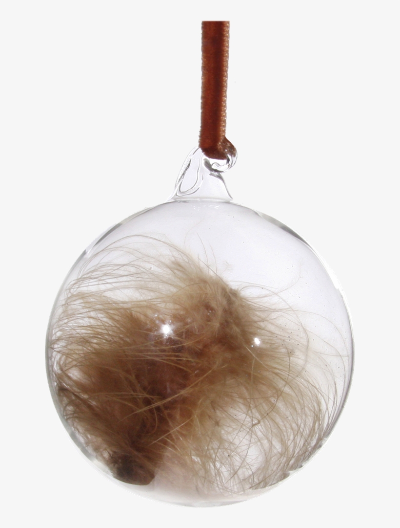 Productimage0 - Brown, transparent png #5059463