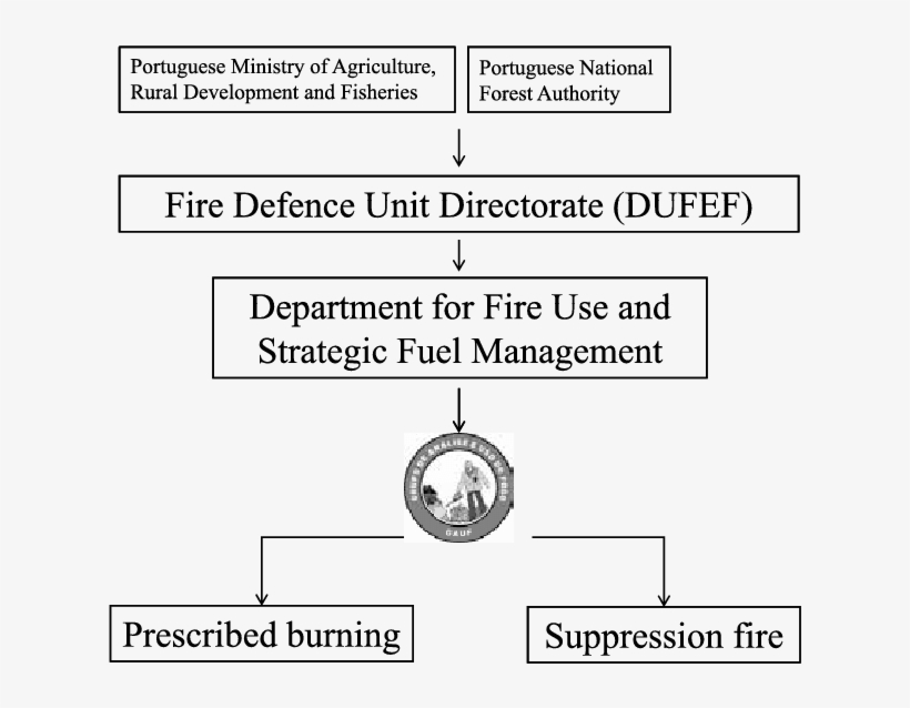 Structure Of The Fire Use And Analysis Group - Cvc Capital Partners, transparent png #5059821