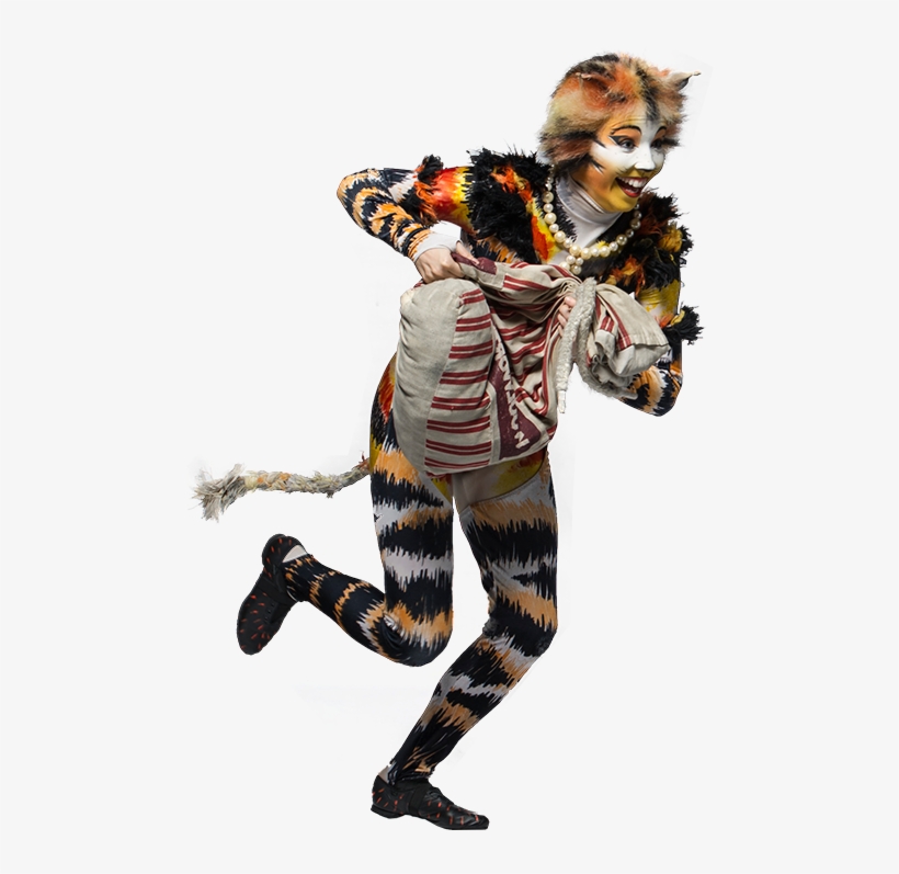 L14 Rumple - Cats The Musical Png, transparent png #5061146