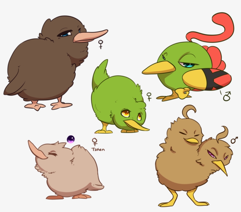 Kiwi Bird Pet - Kiwis, transparent png #5061769